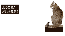 ��������Ⴂ�܂�