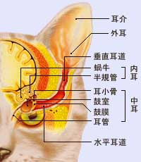 �L�̎��\���}