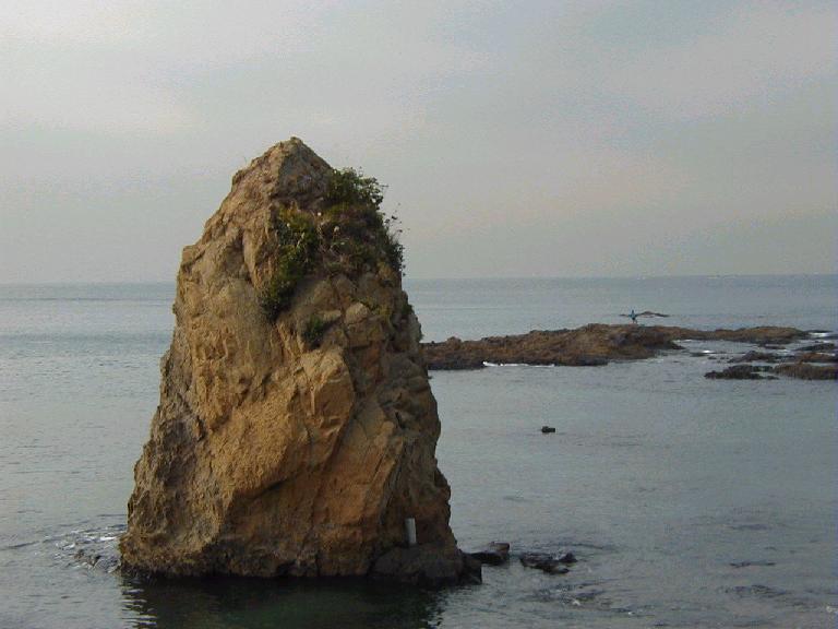 �H�J�̗��΁`