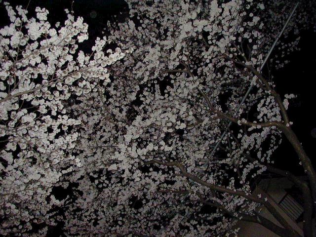 �Y��ł��`��